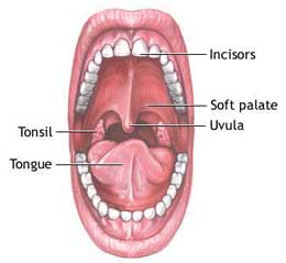 Pustules In Throat